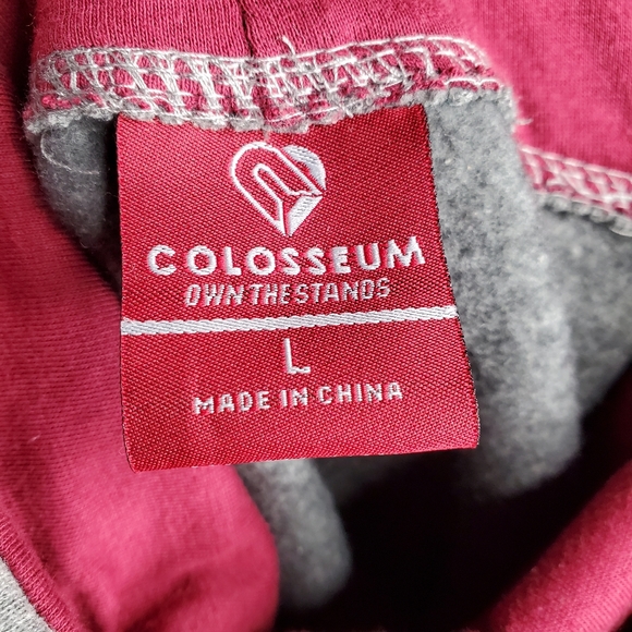 21) FSU Embroidered Cowl Neck Pullover Hoodie Women's Sz. Large - Picture 3 of 5